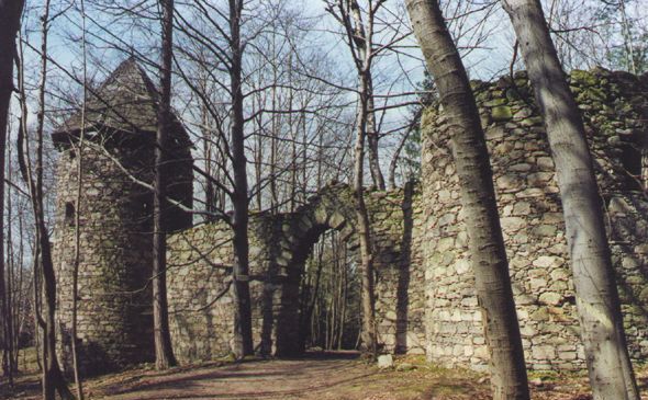 Taaffe ruin of Ballymote in Prasivice